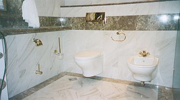Badausschnitt mit WC und Bidet